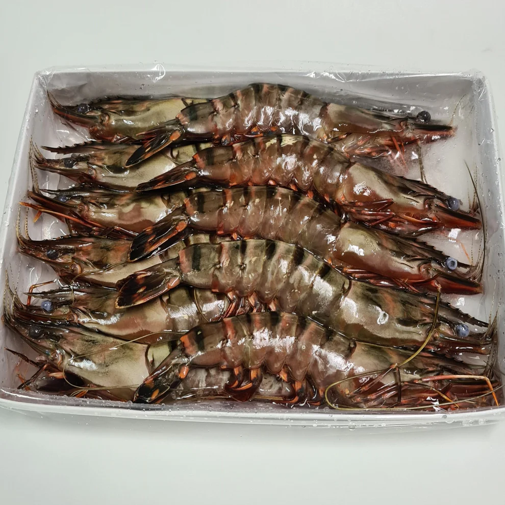 jumbo-black-tiger-prawns-3_990x.webp