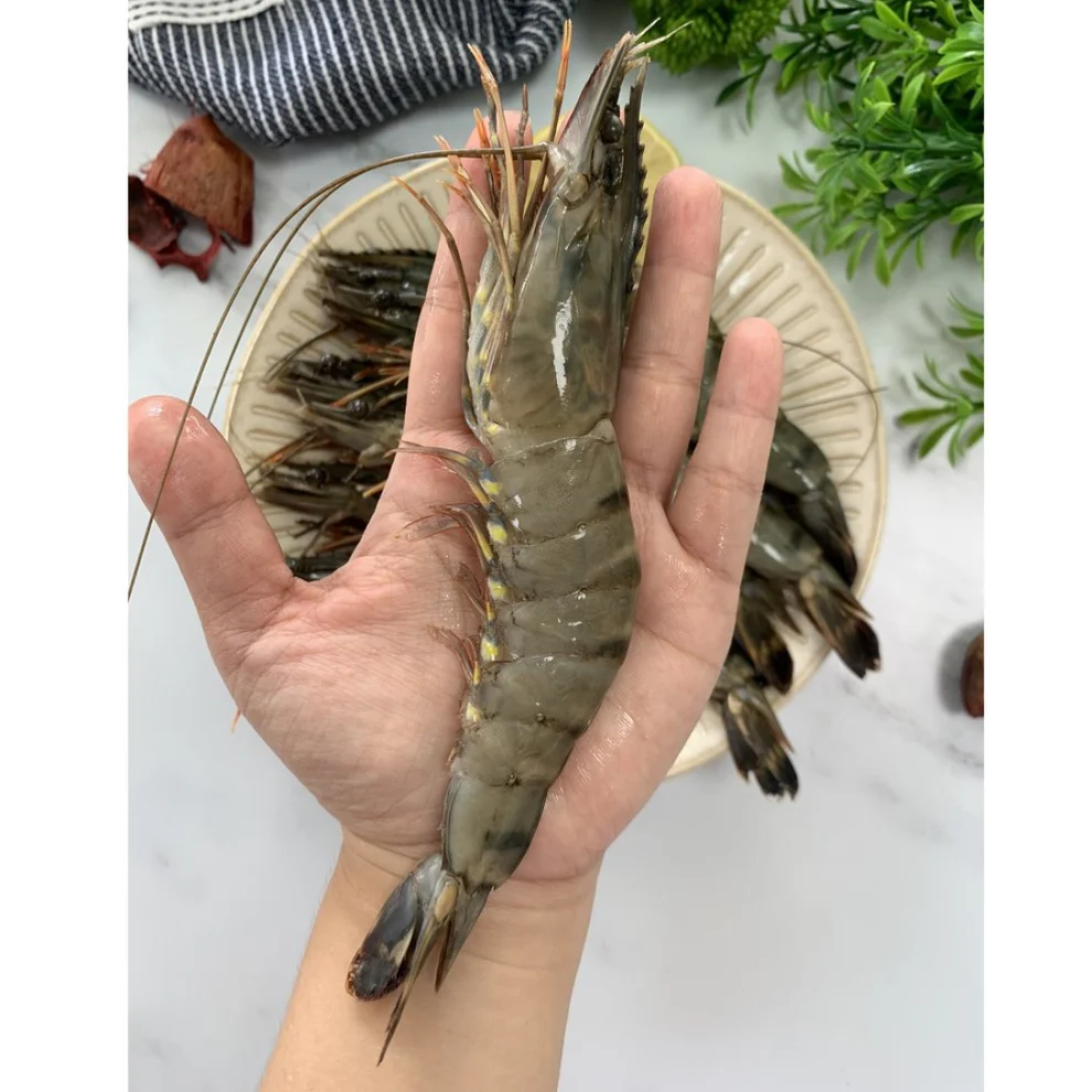 jumbo-black-tiger-prawns-4_990x.webp